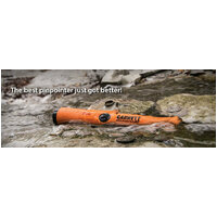 Garrett Pro pointer AT