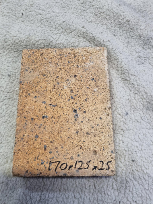 Fire Brick 165 x 185 x 25mm cut Corner
